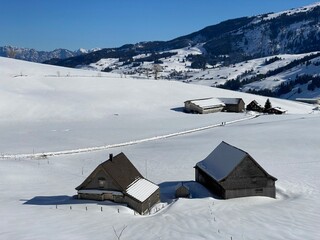 Indigenous alpine huts and wooden cattle stables on Swiss pastures covered with fresh white snow cover, Alt St. Johann - Obertoggenburg, Switzerland (Schweiz)