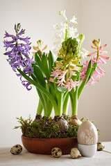 Easter composition from hyacinths flowers and quail eggs on linen tablecloth. Zero Waste Easter