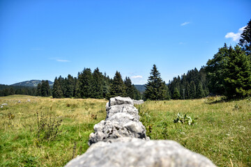 Massif de la Dôle en été - à la frontière Franco-Suisse