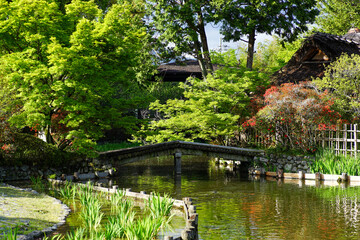 Fototapeta na wymiar 梅宮大社の春の庭園風景