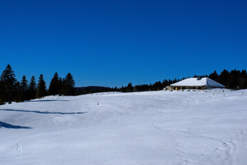 Paysage enneigé dans le Jura, dans la Réserve Naturelle Nationale de la Haute-chaîne du Jura