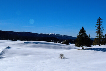 Paysage enneigé dans le Jura, dans la Réserve Naturelle Nationale de la Haute-chaîne du Jura