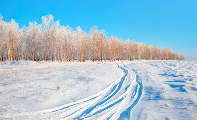 Fototapeta na wymiar Snow covered fir trees landscape with the forest and a path view in winter - Siberia, Russia 