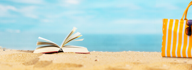 Fototapeta na wymiar Buch am Sandstrand mit Strandkorb