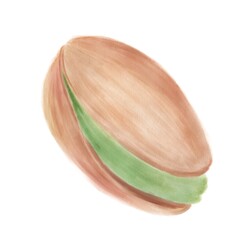 Watercolor, simple illustration, nuts, pistachios, isolated element