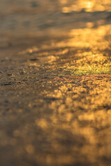 macro photo of texture of the sea beach, sea water at sunset glitters in the rays of the sun, wave, Caribbean Sea