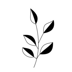 Decorative Branch Illustration
