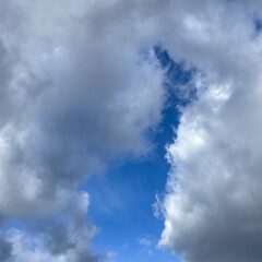 blue cloudy sky on a spring day