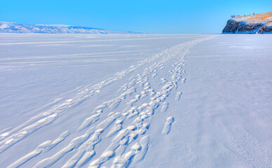 Fototapeta na wymiar Footprints of many people stepping on the snow - Baikal Lake, Siberia