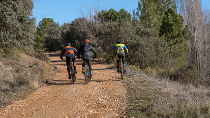 Fototapeta premium Three cyclists climbing an off-road road