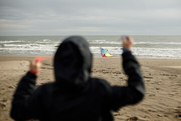 Cerf Volant sur une plage de Camargue