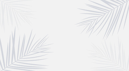 Vector shadow from tropical palm leaves on the white floor. Workplace and relaxation on the beach