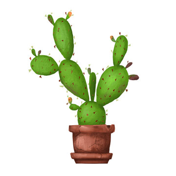 Flowerpot with green ripe cactus with prickly and thorns painted in digital. Botanical illustration, desert, tropical fruits, prickly pear illustration, opuntia art, design, and decor elements.