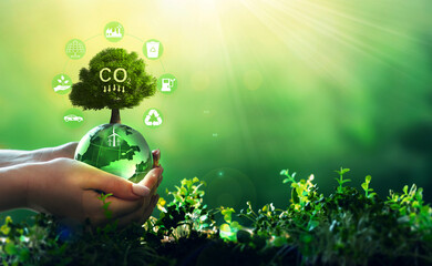 Renewable energy-based green businesses can limit climate change and global warming.Reduction CO2...