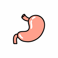 stomach doodle icon, vector color line illustration
