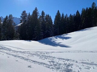 Wonderful winter hiking trails and traces on the slopes of the Alpstein mountain range and in the fresh alpine snow cover of the Swiss Alps - Alt St. Johann, Switzerland (Schweiz)