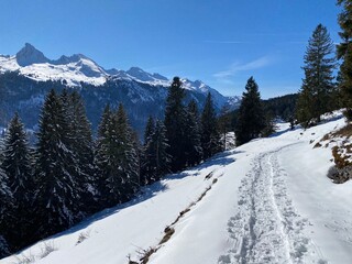 Wonderful winter hiking trails and traces on the slopes of the Alpstein mountain range and in the fresh alpine snow cover of the Swiss Alps - Alt St. Johann, Switzerland (Schweiz)