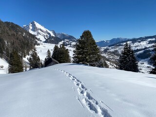 Fototapeta na wymiar Wonderful winter hiking trails and traces on the slopes of the Alpstein mountain range and in the fresh alpine snow cover of the Swiss Alps - Alt St. Johann, Switzerland (Schweiz)