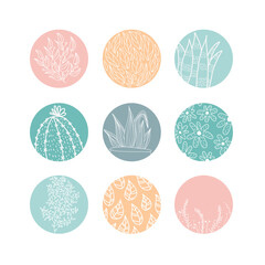 Highlight cover set, abstract floral botanical icons for social media. Vector illustration. watercolor design. Set of Instagram Story Highlights Covers Icons.