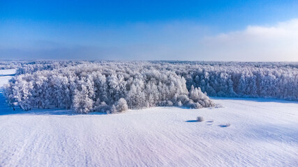 Obraz premium not frozen pond in winter