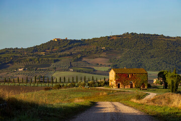 Fototapeta na wymiar Typical Tuscan morning autumn landscape, Val D'Orcia, Tuscany, Italy