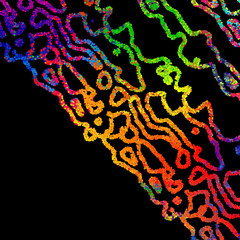 Bright abstract image in a modern style.