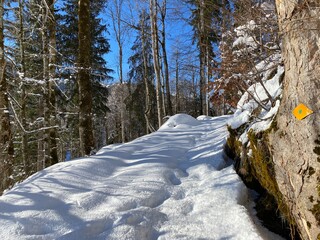 Hiking markings and orientation signs with signposts for navigating in the idyllic winter ambience on the Alpstein mountain massif and in the Swiss Alps - Alt St. Johann, Switzerland (Schweiz)