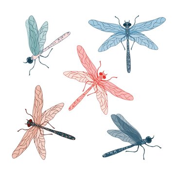 Set of dragonflies on a white background. Isolate. Insects are drawn by hand in soft, pastel colors. Ideal for textiles, clothing, postcards, banners, designers.
