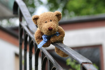 Teddy
