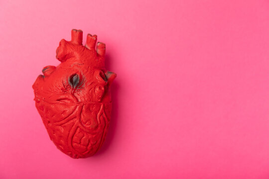 Heart anatomy on a pink background.Medical plasticine human organ.Copy space. View from above. Place for text.