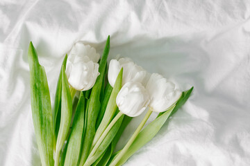 White tulips flowers on white textile background. Easter, Spring holiday concept - 488822273