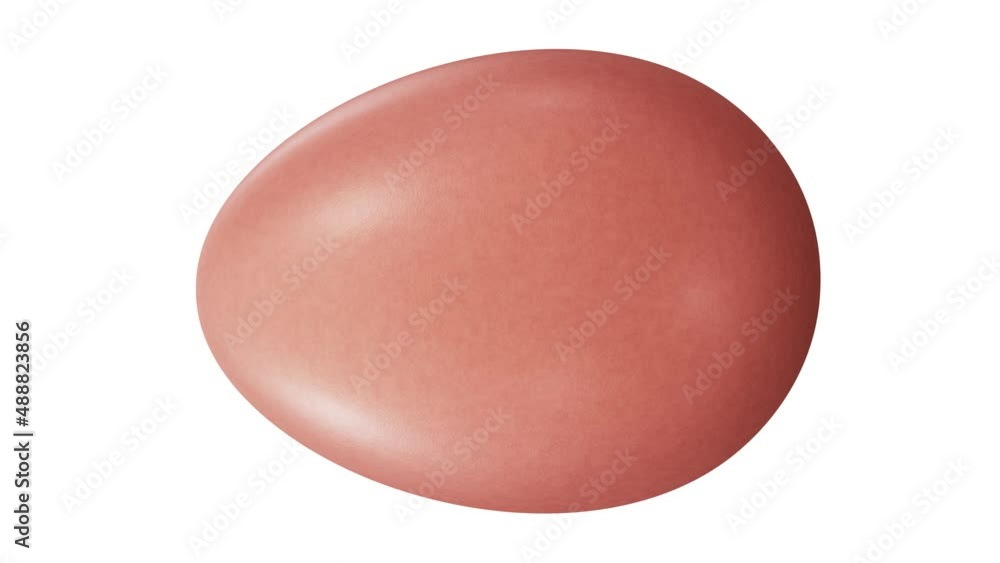 Poster vertical video. realistic looping 3d animation of the brown raw chicken egg spinning against white r