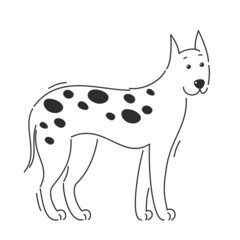 Spotted dog Great Dane breed. Cartoon vector illustration