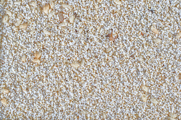 amaranth grain close up pattern