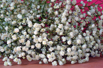 Bouquet of white Gypsophila flowers (babys breath) - Powered by Adobe