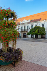 Fototapeta na wymiar town hall square in Miskolc Hungary with flowers and beautiful buildings