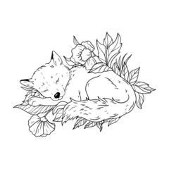 illustration animal sleeping in leaves fox puppy