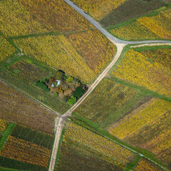 vue aérienne des vignes de champagne à l'automne à Hautvillers dans la Marne en France