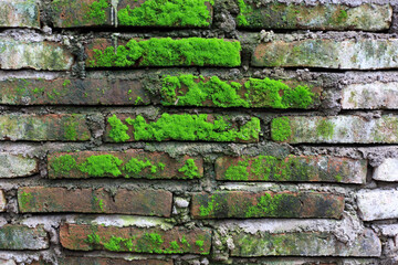 Old curve mossy wall of red cracked brick