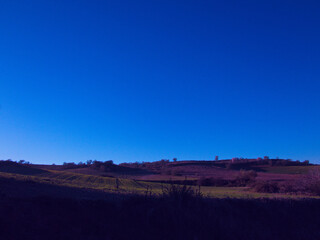 drzewa natura rośliny flora hiszpania