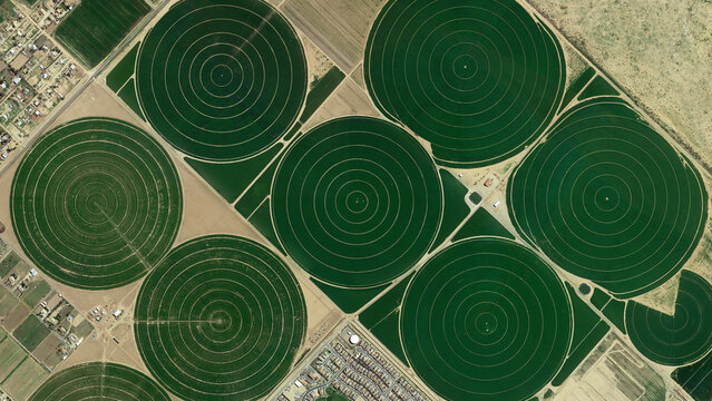 Center pivot irrigation system, circular fields and food safety, looking down aerial view from above, bird’s eye giant circular fields, Florence, Arizona