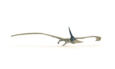 pteranodon is doing a low flight  in white background © DM7
