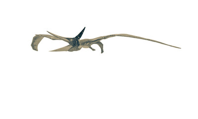 pteranodon is flying in white background © DM7