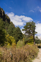 Breathtaking panorama of morning wild nature high in mountains