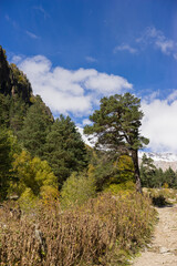 Breathtaking panorama of morning wild nature high in mountains