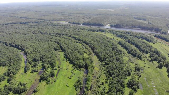 Aerial view of an oak grove (Kotelnich, Kirov region, Russia)