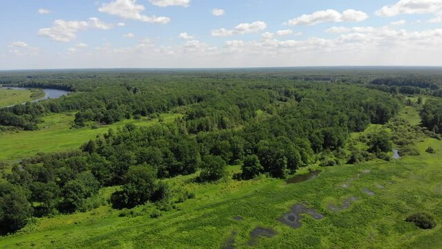 Aerial view of an oak grove (Kotelnich, Kirov region, Russia)
