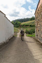 Pilgrim with hat, bag and stick walking along a path through the countryside on the Camino de Santiago. Way of St James