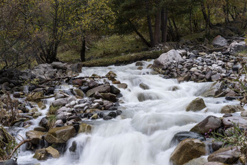 Mountain waterfall in the forest. Waterfall view. Waterfall in mountains. Waterfall pool