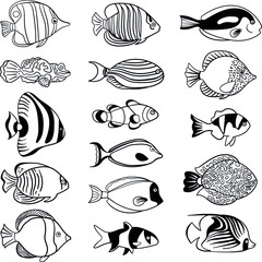 Set of isolated fish. Hand drawn in black ink. Vector illustration